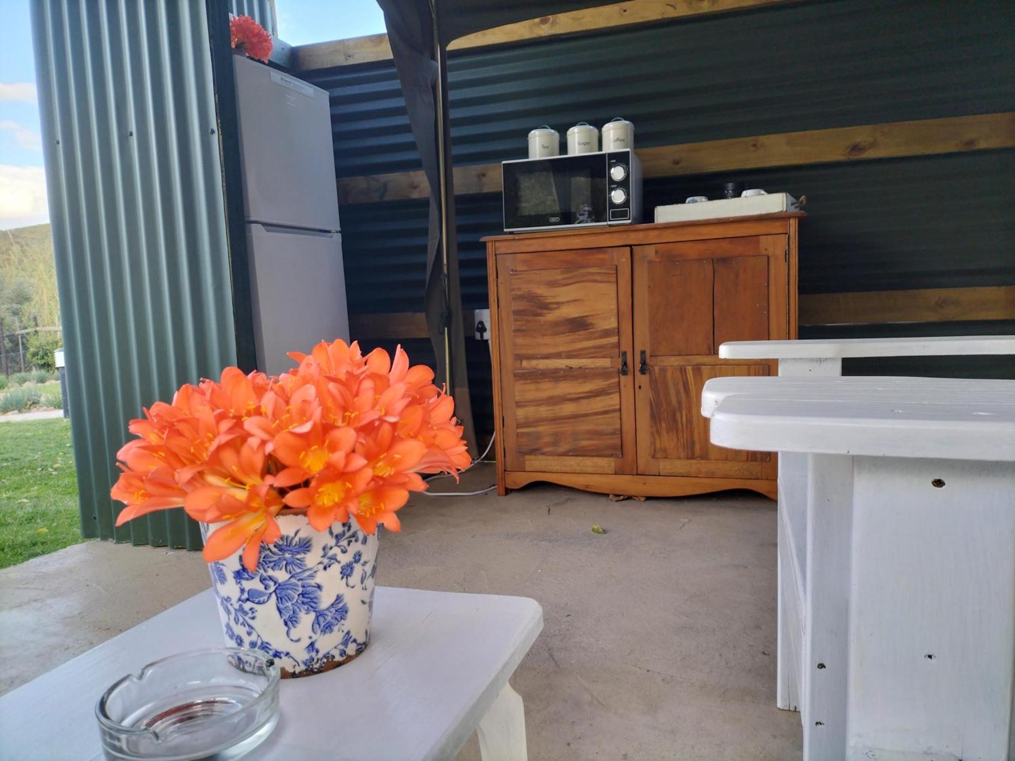 Schoemanshoek Glamping Oudtshoorn Dış mekan fotoğraf