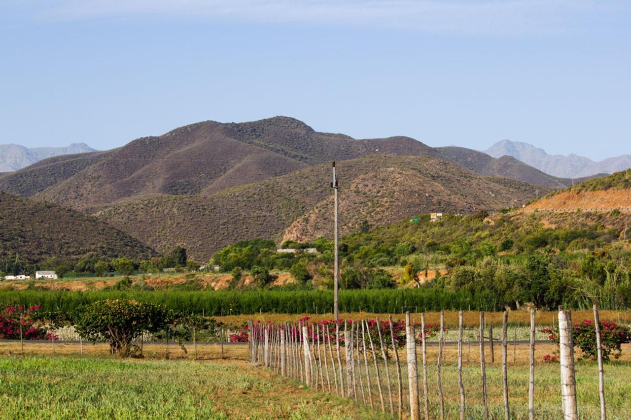 Schoemanshoek Glamping Oudtshoorn Dış mekan fotoğraf